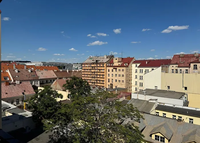 Vitkova Duplex Apartment With Terrace Near Florenc